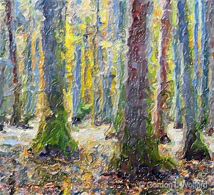 Cypress Swamp In Autumn_25111art.jpg - Photographed along the Natchez Trace Parkway near Canton, Mississippi, USA.